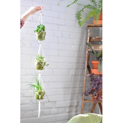 Hanging herb trio